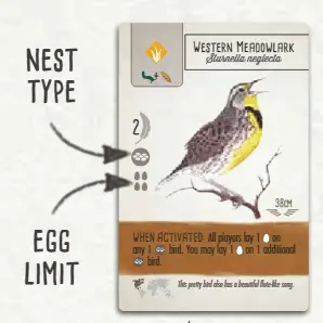 Nest type and Egg limit on bird card - Wingspan