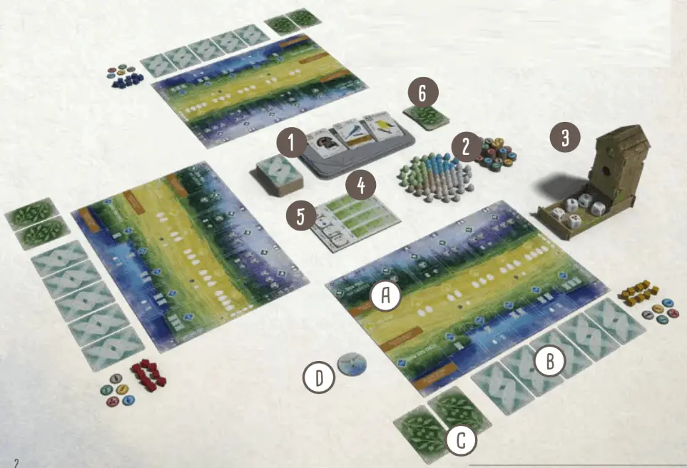 How to play Wingspan - Learn how to setup Wingspan the board game