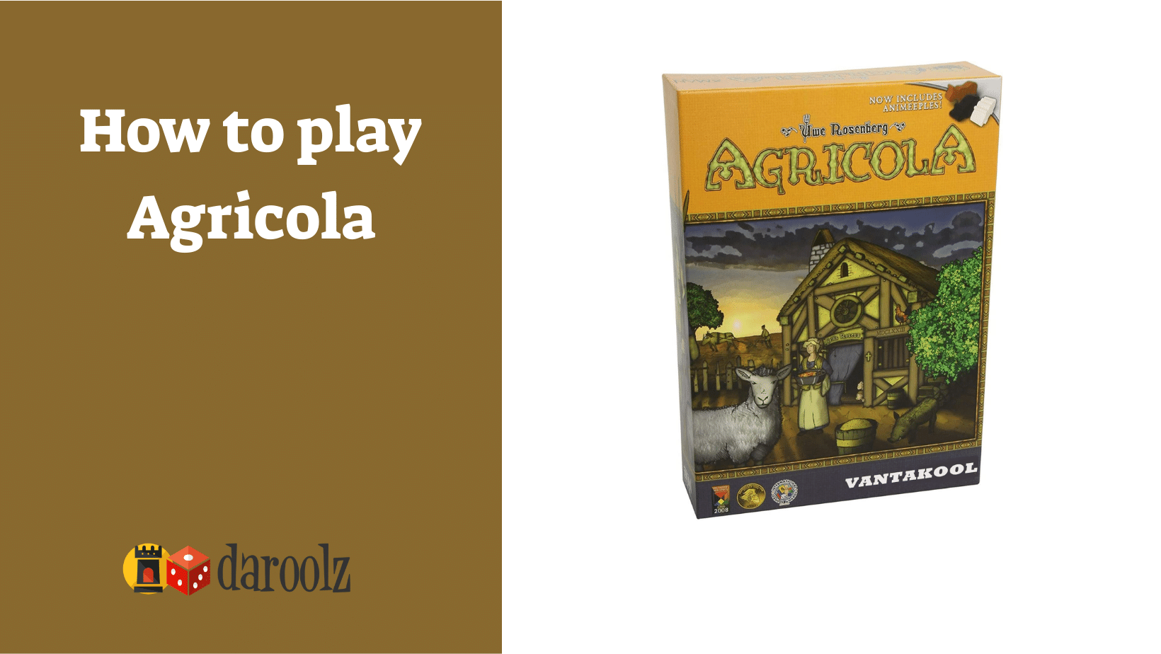 How to play Agricola