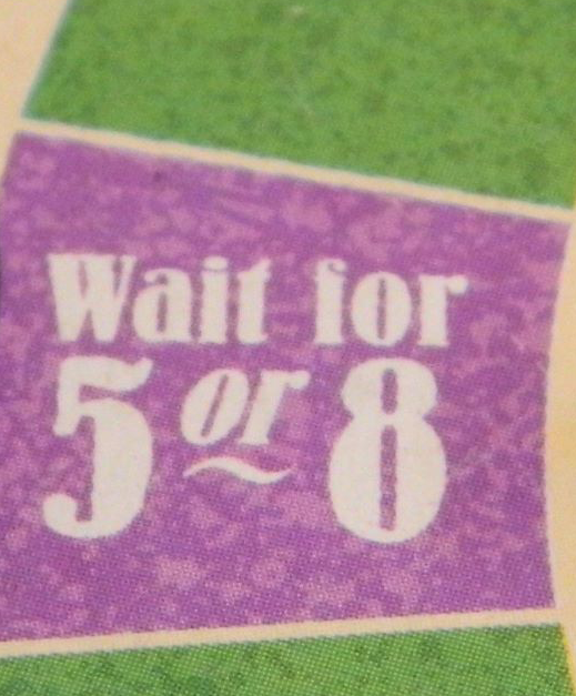 Easy to Read How to play Jumanji Board Game Rules