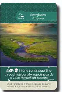 Earth Ecosystem Cards