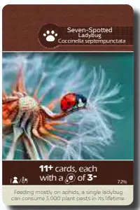 Earth Fauna Cards