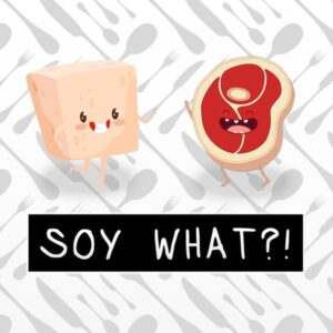 Is Soy What?! fun to play?