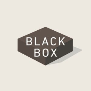 Is Blackbox fun to play?
