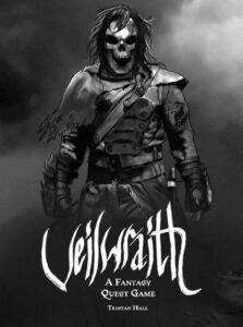 Is Veilwraith: A Veil Odyssey Game fun to play?