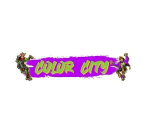 Is Color City fun to play?