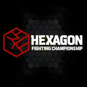Is Hexagon Fighting Championship fun to play?