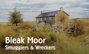 Is Bleak Moor: Smugglers & Wreckers fun to play?