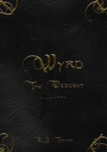 Is Wyrd: The Descent fun to play?